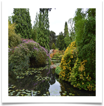 Azaleas and reflections at Tatton park - Richard Nicholls